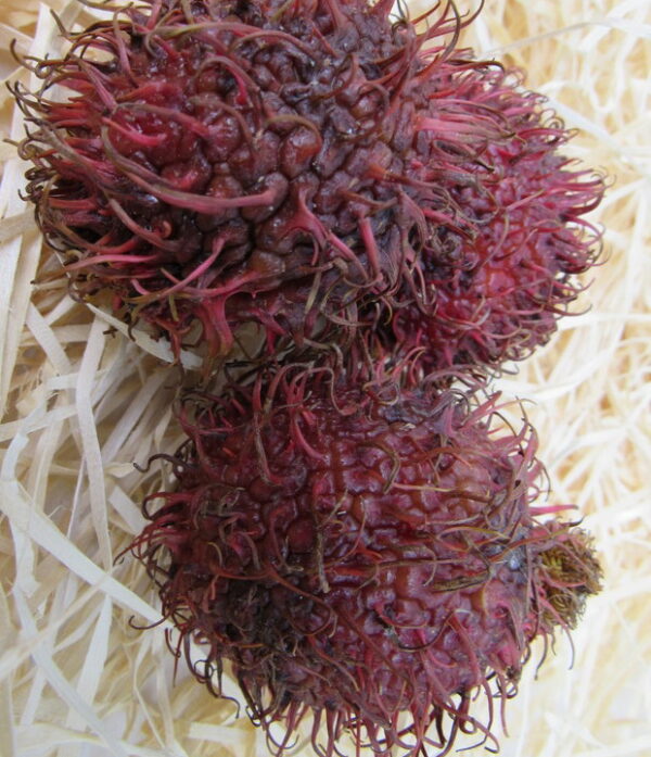 Rambutan 1kg – Bild 2