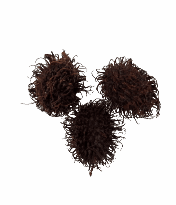Rambutan 1kg