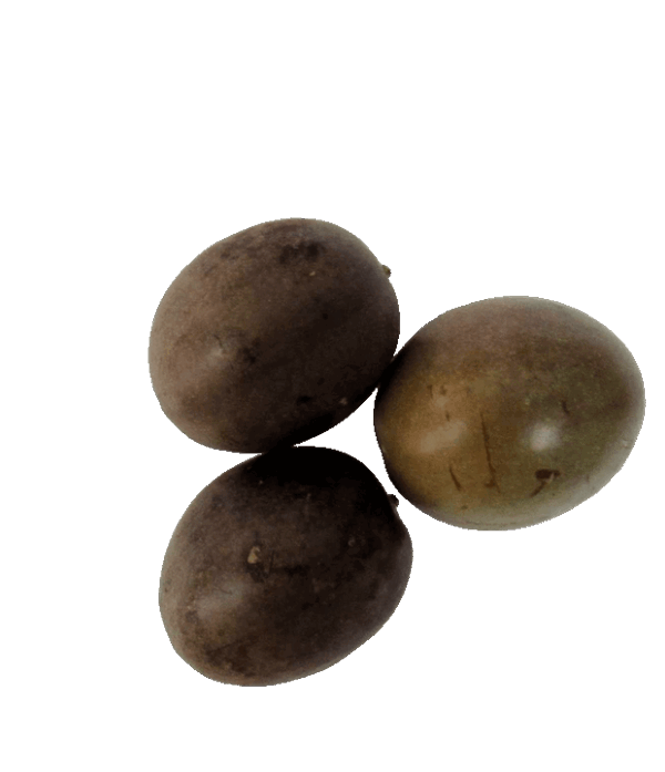 Passionsfrucht 1kg