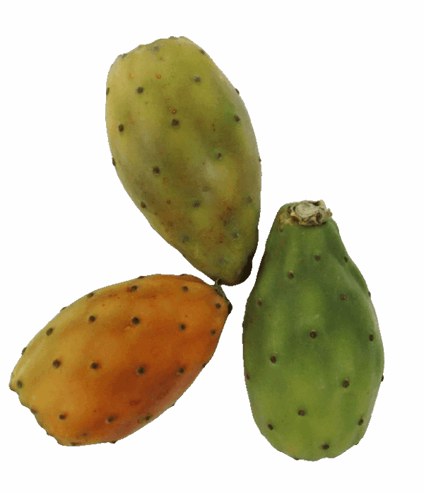 Kaktusfeige 500g