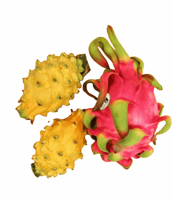 Rote Pitahaya 1kg – Bild 2