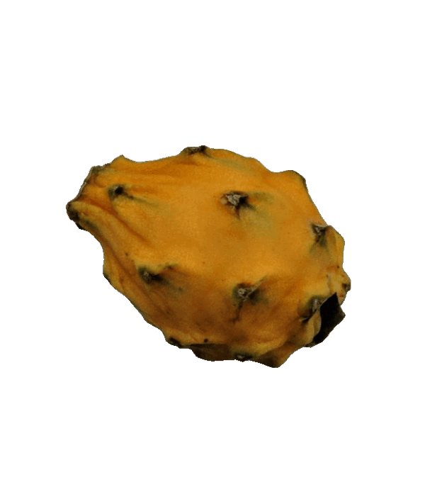 Gelbe Pitahaya 1kg