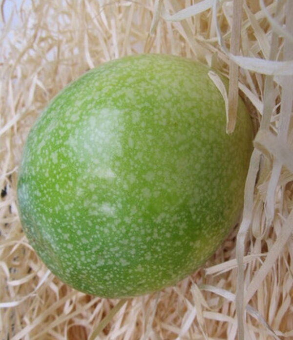 Große Maracuja 500g – Bild 2