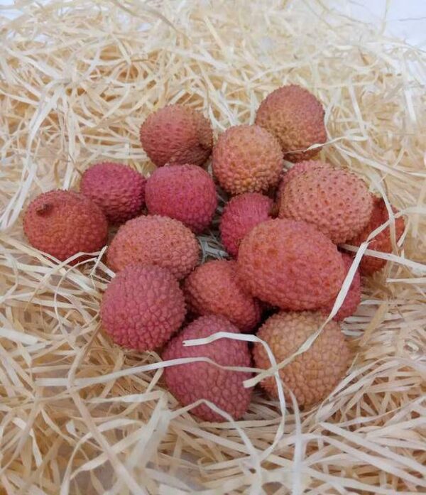 Litschi 1kg – Bild 2