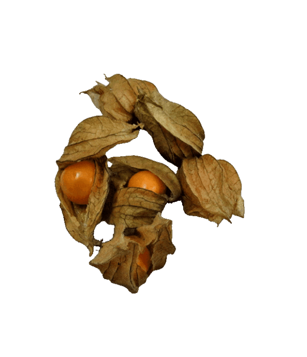 Physalis 100g