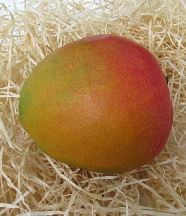 Königsmango 1 stück – Bild 2