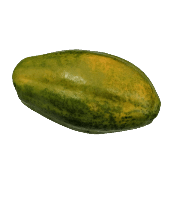 Papaya 1,5kg