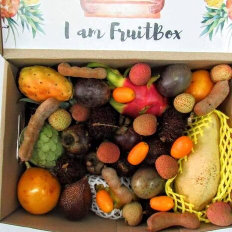 Obstkörbe 10