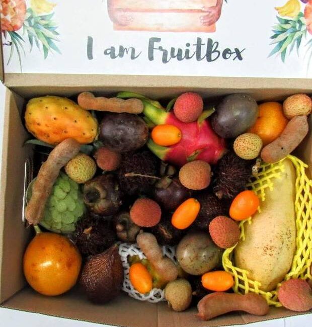 Obstkörbe 10