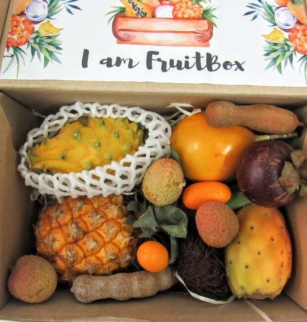 Obstkörbe 13