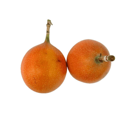 Granadilla