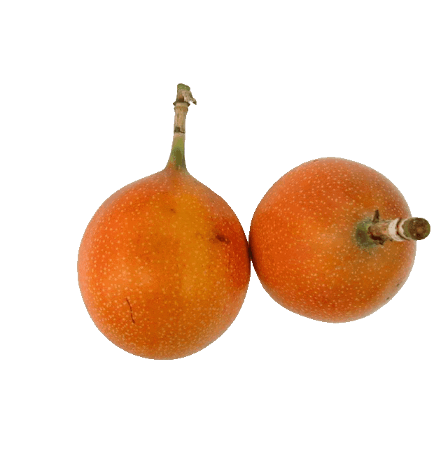 Granadilla
