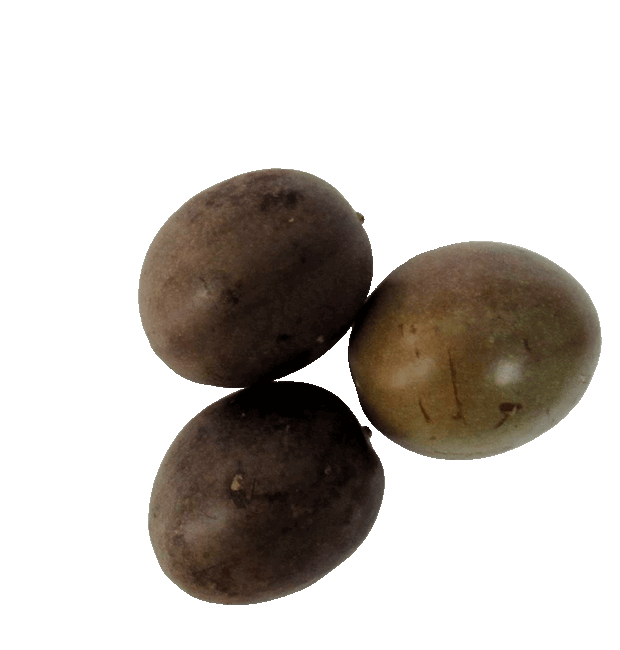 Maracuja