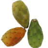 Kaktusfeige (Cactus Frucht)