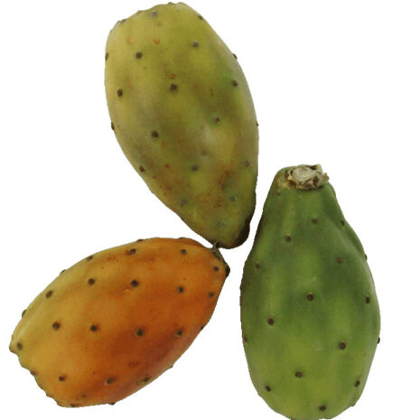Kaktusfeige (Cactus Frucht)