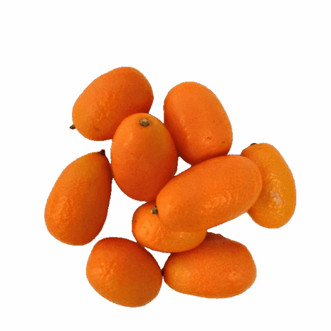 Kumquat