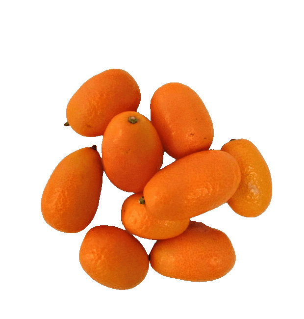 Kumquat