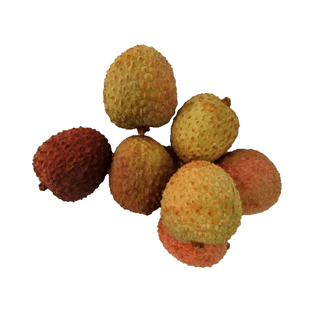 Litschi