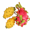 Gelbe Pitahaya (Drachenfrucht)