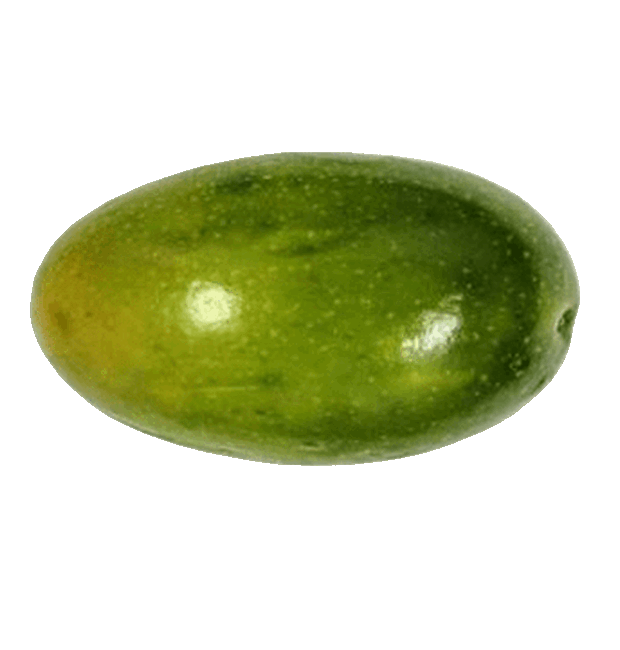 Große Maracuja