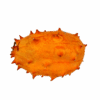 Kiwano