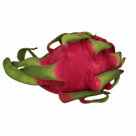 Rote Pitahaya