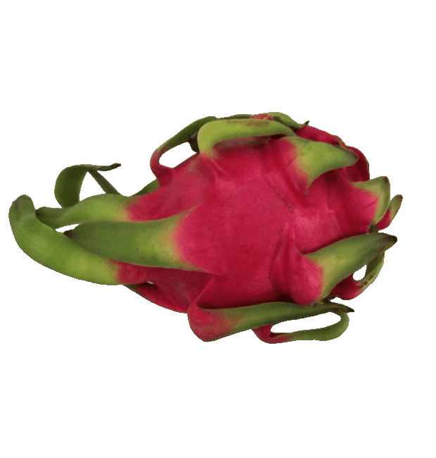 Rote Pitahaya