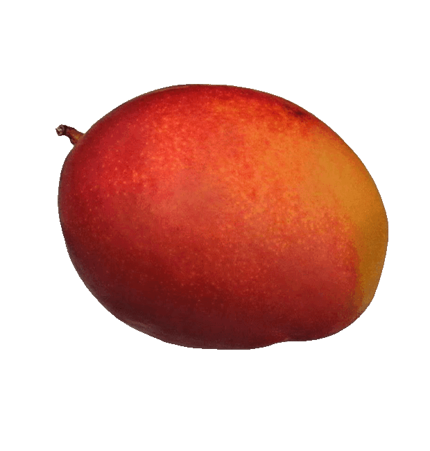 Königsmango