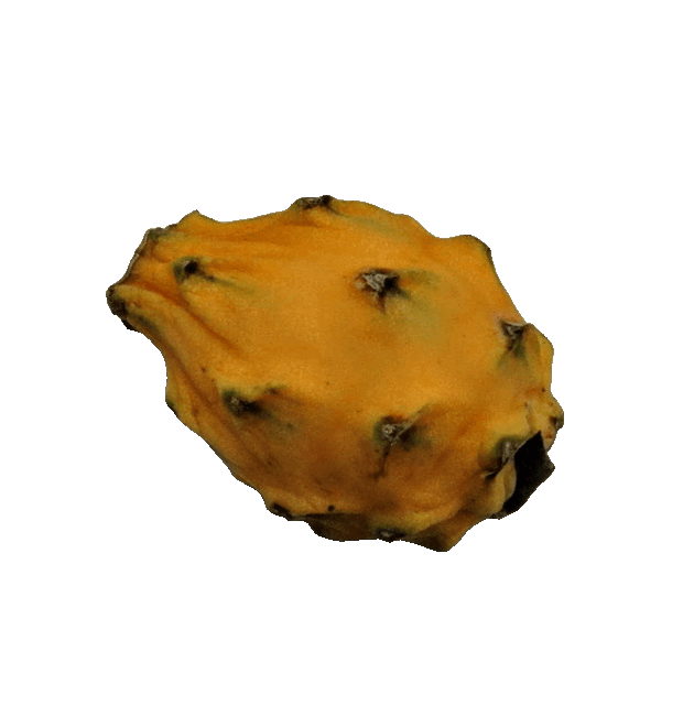 Gelbe Pitahaya