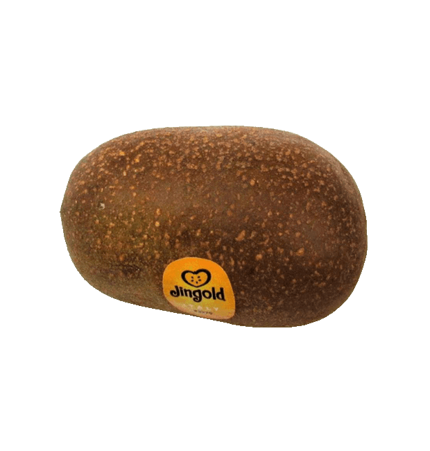 Gold-Kiwi