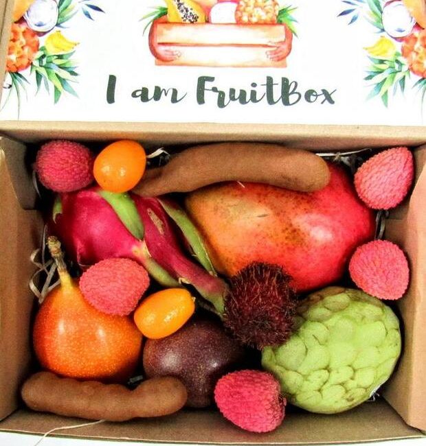 Obstkörbe 3