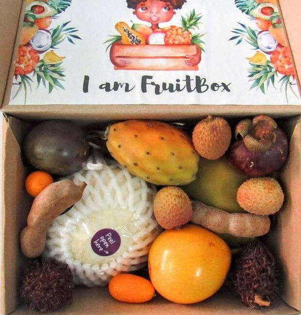Obstkörbe 5