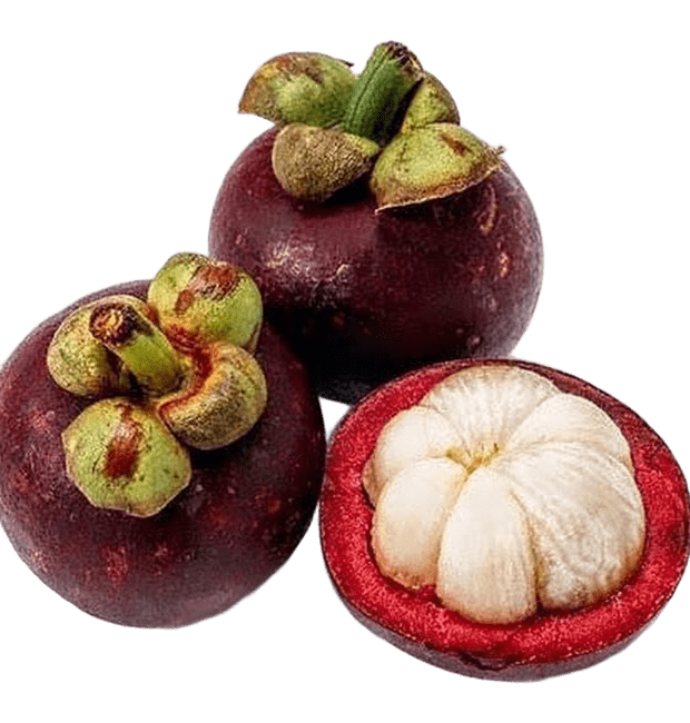 Mangostan