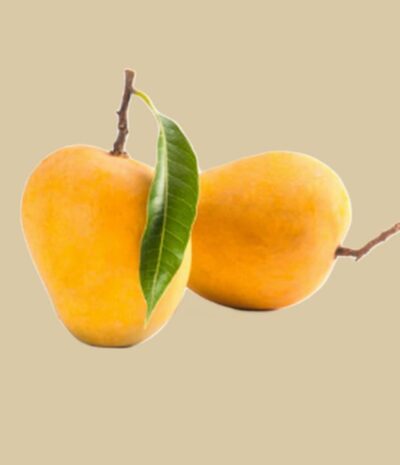 Mango Alfonso