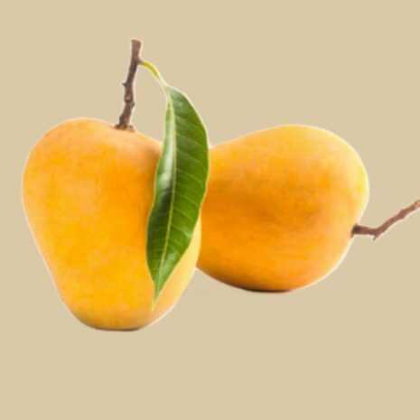 Mango Alfonso