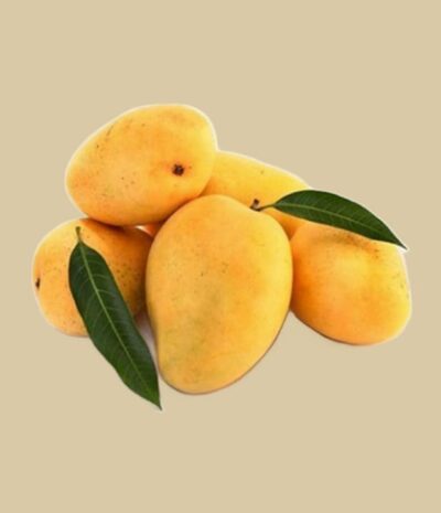 Mango Alfonso – Bild 2