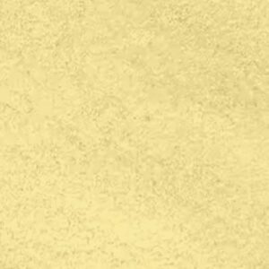 Ananaspulver (100gr)