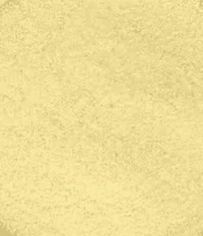 Ananaspulver (100gr)