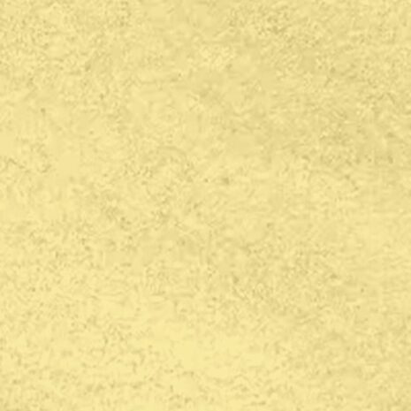 Ananaspulver (100gr)