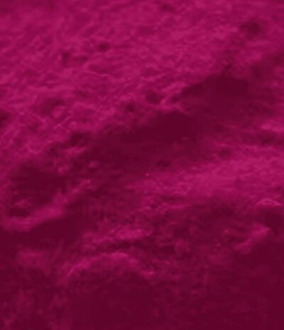 Drachenfruchtpulver(100gr)