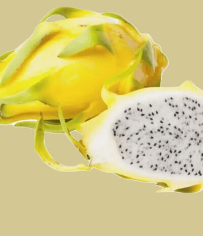 Gelbe Pitahaya (Drachenfrucht) (1st)