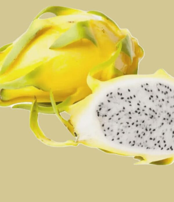 Gelbe-Pitahaya_Drachenfrucht