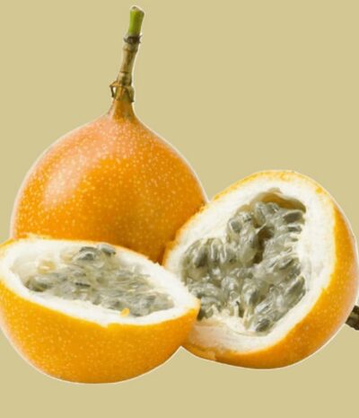 Granadilla (1st)