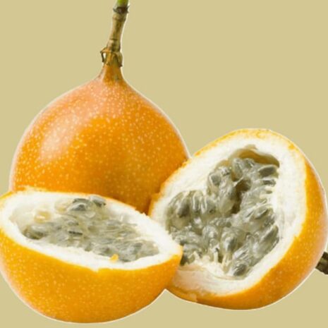 Granadilla (1st)