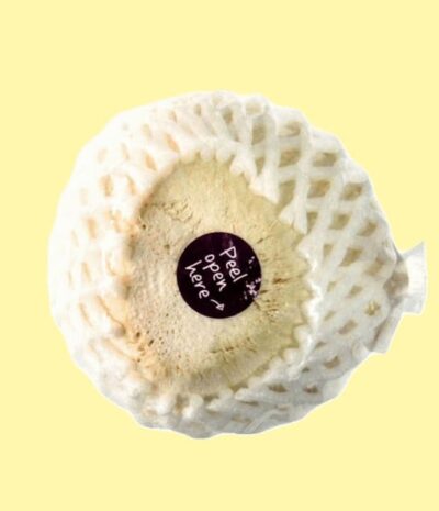 Trinkkokosnuss (1-2kg) – Bild 2