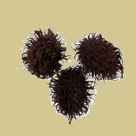 Rambutan (250gr)