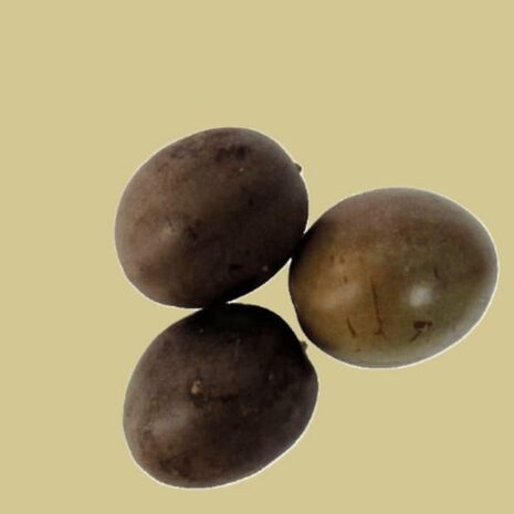 Maracuja (Passionsfrucht)