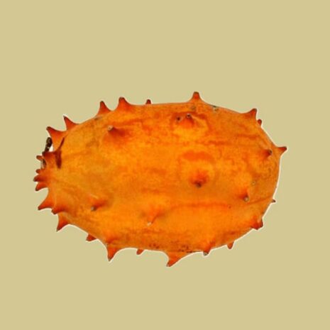 Kiwano (1kg)