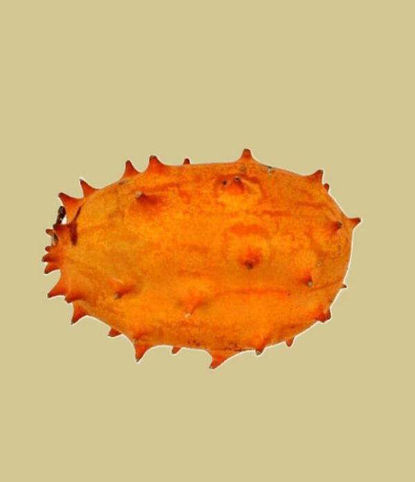 Kiwano