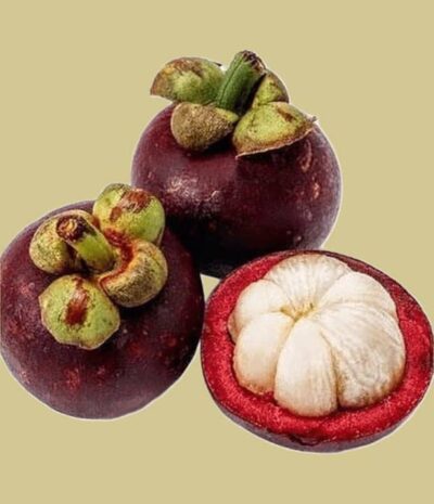 Mangostan (250gr)